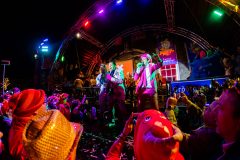 Geschoten door Wildschieters