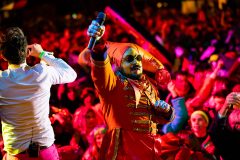 Geschoten door Wildschieters