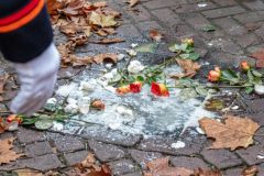 231112-29_Lestogenblik-Hedwig
