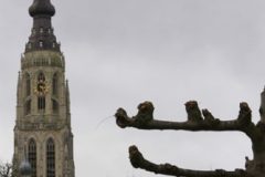240203-076_Carnavalske-wandeling-Jan