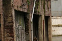 240203-090_Carnavalske-wandeling-Jan
