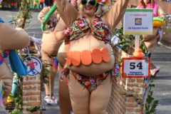 240212_227_Grote-Optocht-Gre