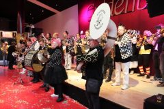 240213-253_Guldenbal-Rosine