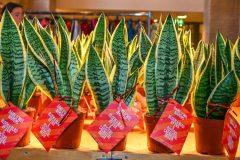 250202-001_Vrijmarkt-Gre