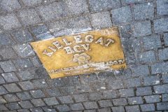 250223-034_Onthulling-Prinsentegels-Iris