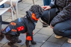 250223-091_Onthulling-Prinsentegels-Iris