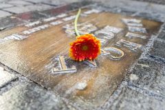 250223-094_Onthulling-Prinsentegels-Iris