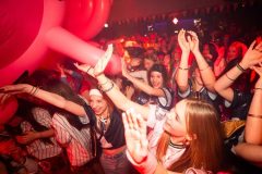 2502028-200_Stuiterbal