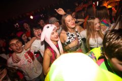 2502028-233_Stuiterbal