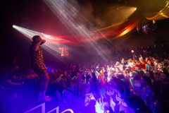 2502028-244_Stuiterbal