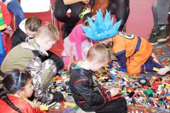 250302-09_zondag-brakkenbal-Rosine