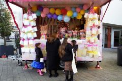 250302-36_zondag-brakkenbal-Rosine