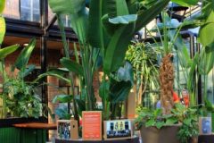 260207-02_Wandeling-Jan