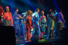 260215-01_Zuyderleven-brakkenbal_RO